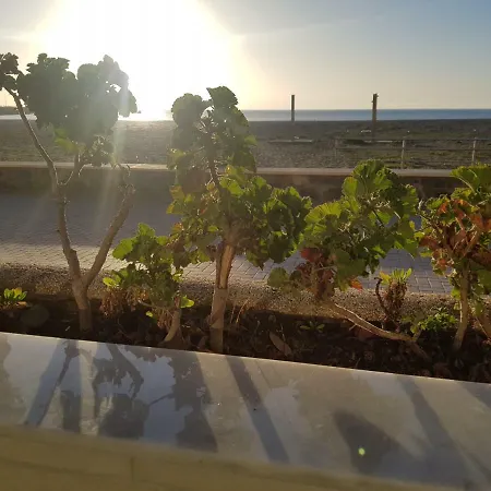 Apartment Solymar 3